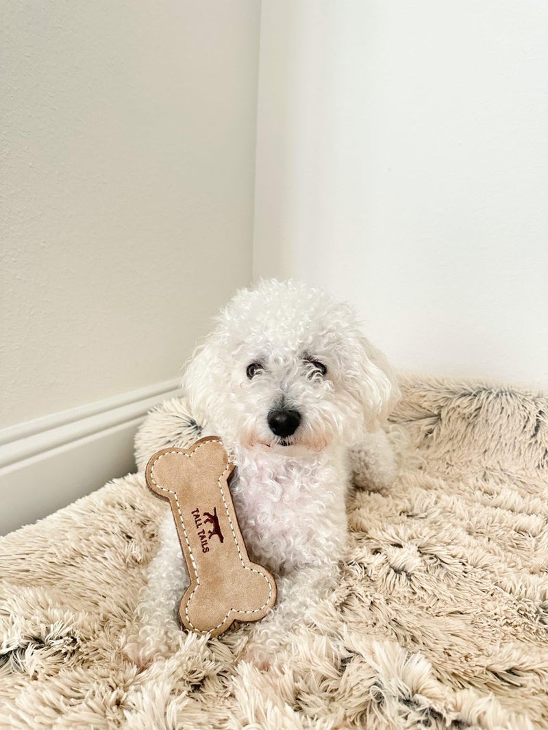 Tall Tails Dog Natural Leather Bone Fetch Toy Gift for Dogs 6 inches - Image 5